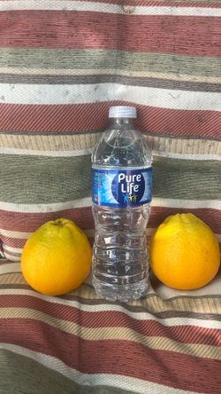 Organically grown Oranges $5/BAG