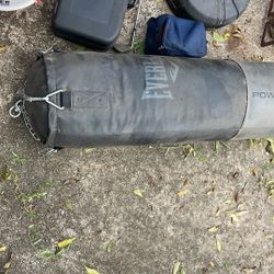 Everlast Punching Bag