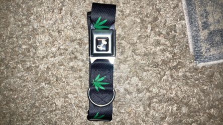 Buckle down collar