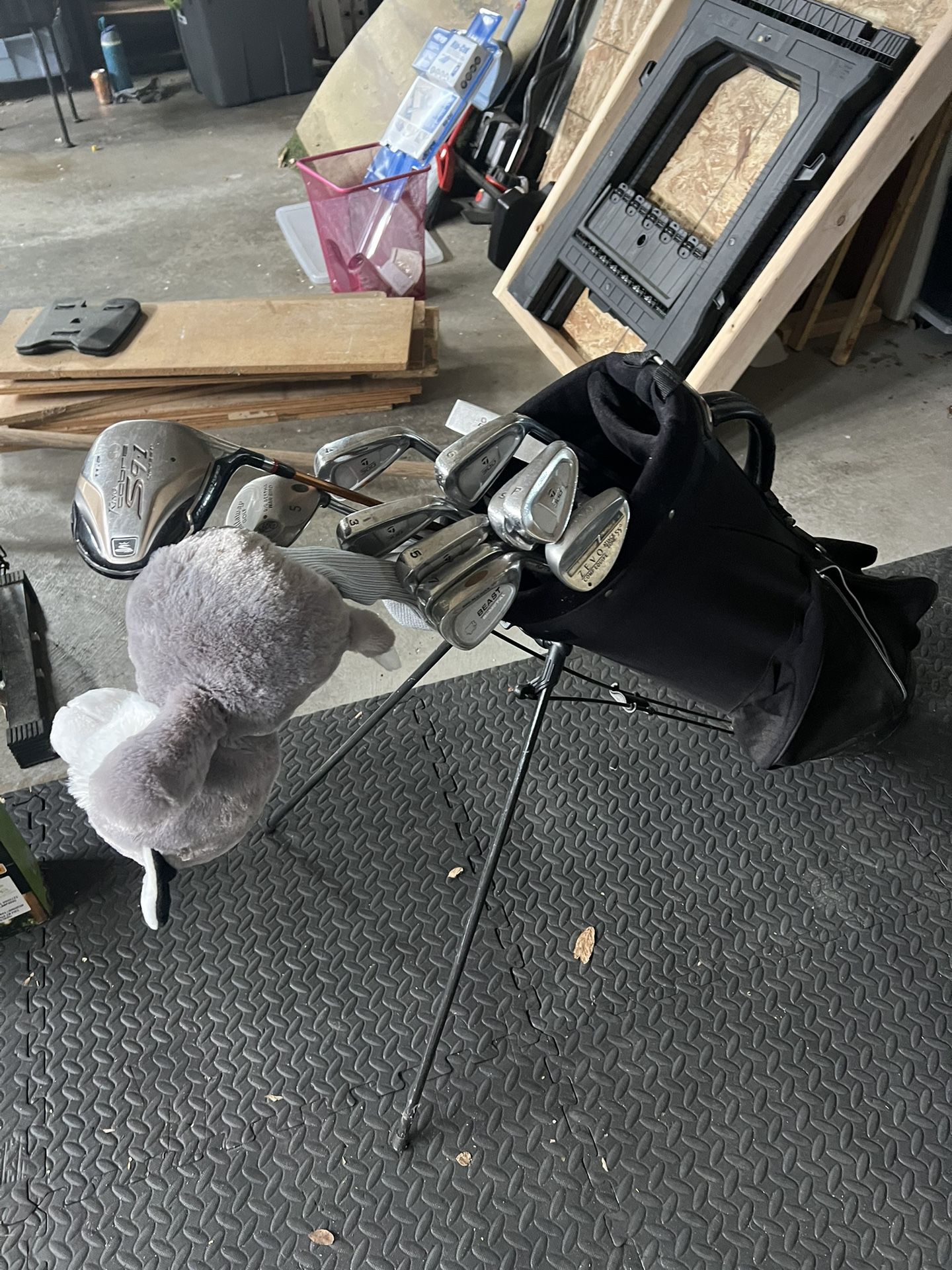 Golf clubs And Bag