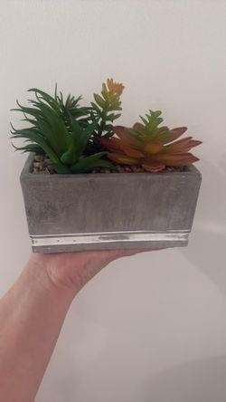 Decor