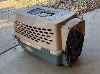 Dog Kennel