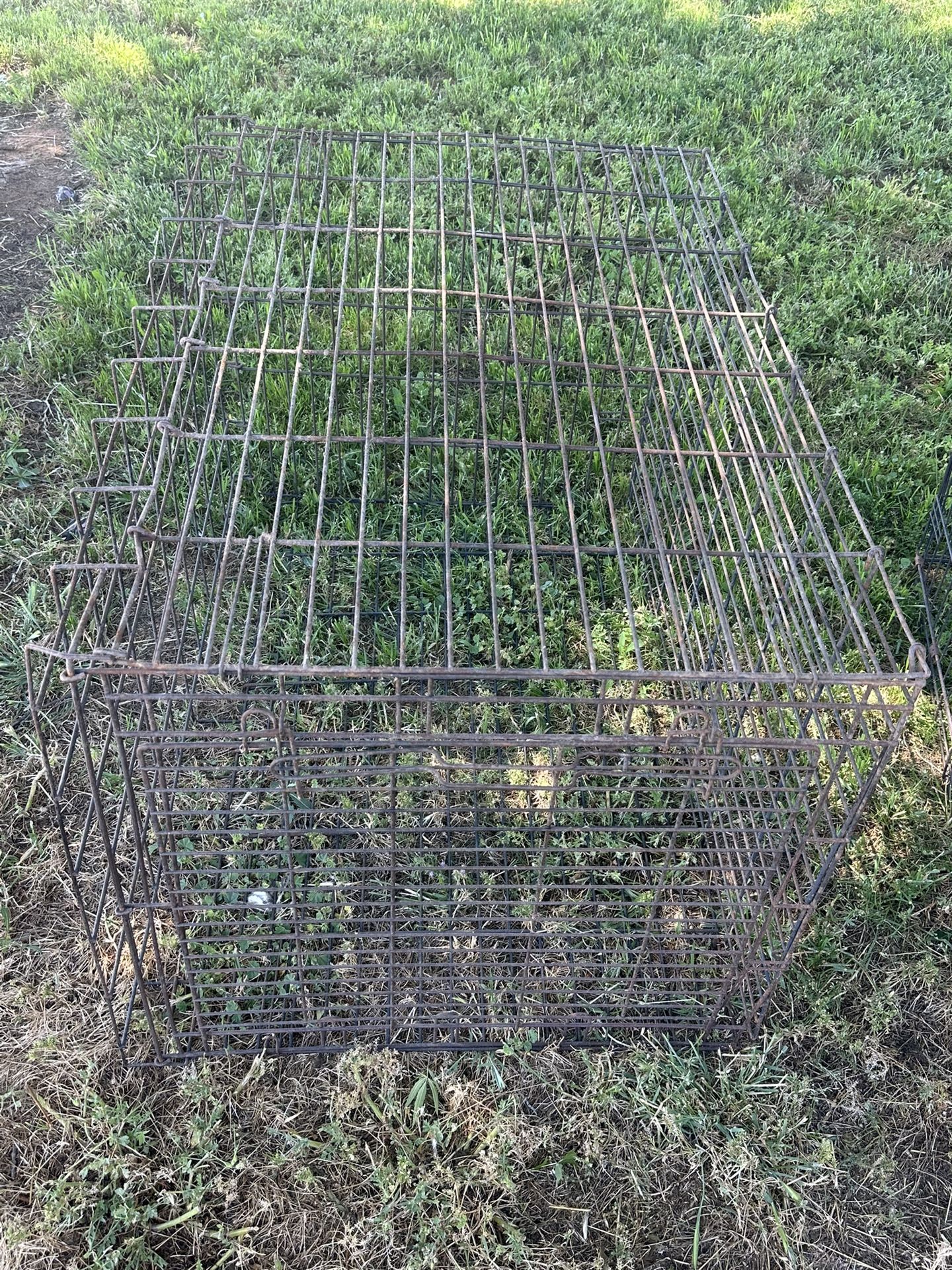 Dog Kennels