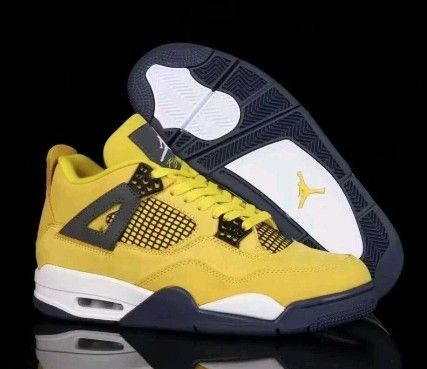 Jordan 4s Brand New