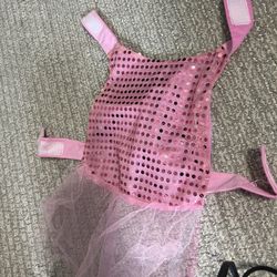 2 Costumes for Small Dogs. (dog Not Included)