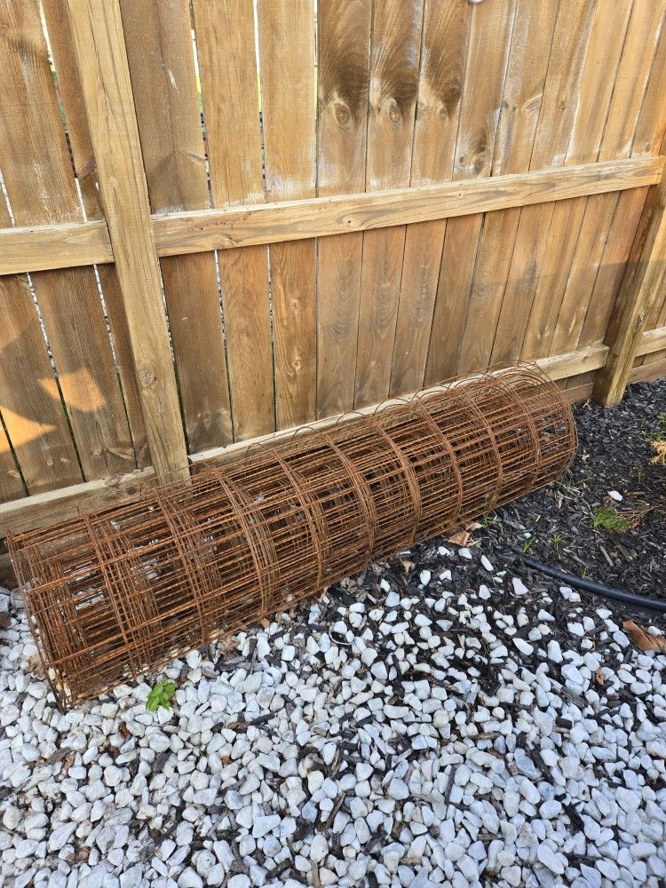 Steel Mesh Roll