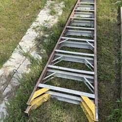 Ladder 