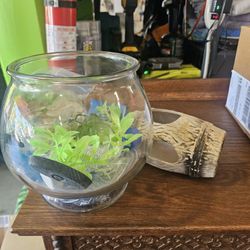 Fish Bowl And Accessories 