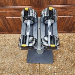 *** GOLDS GYM SWITCHPLATE WEIGHTS W/ STAND ***