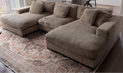 Plush Sectional & Pillows