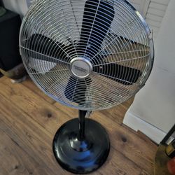 Fan.  