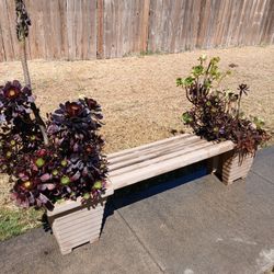 Planter Pot/Bench (Plants Included) Succulents 