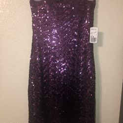 Brand New Sequin Dress