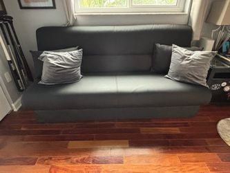 Futon sleeper sofa- moving sale