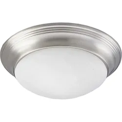Progress Lighting P3689-09 Brushed Nickel Ceiling Light