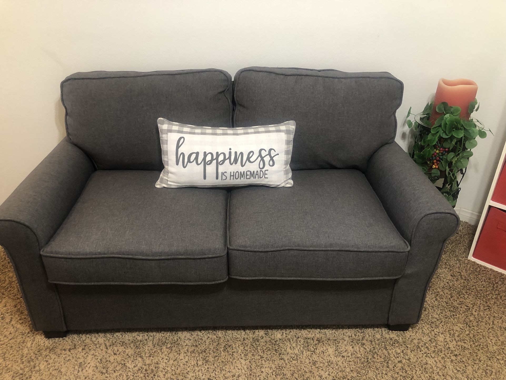 Loveseat Sleeper Sofa
