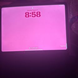 Pink Ipad 10th Generation 