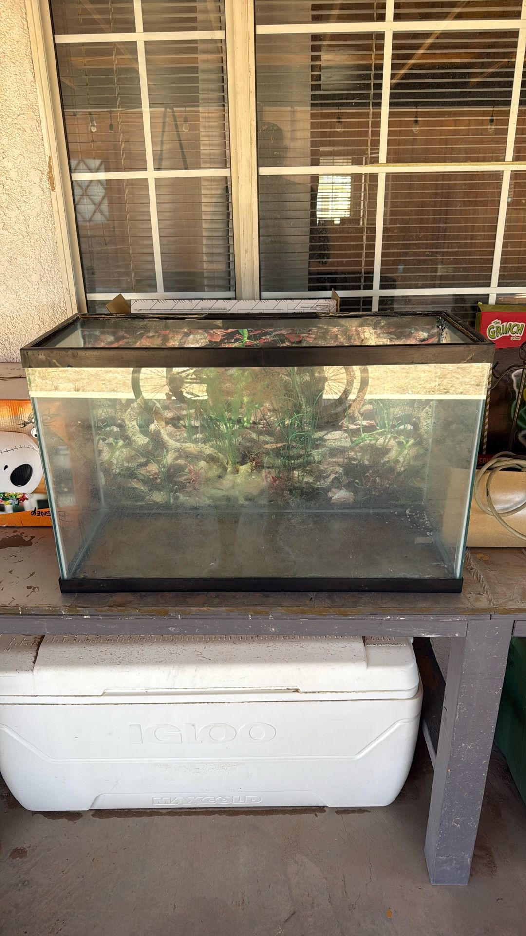 Fish Tank