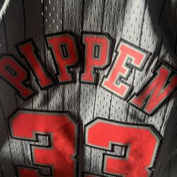 Pippen Jersey 