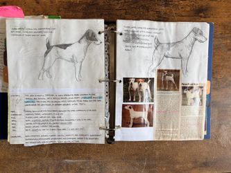 Vintage Handmade Dog Grooming & Breed Reference Binder $80 OBO