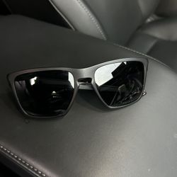 Oakley Sliver Xl Polarized