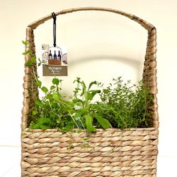 Kitchen Garden Herb Basket, 3 Bottle Wine Caddy, Bottle Holder