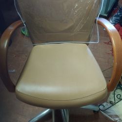 Salon Chair