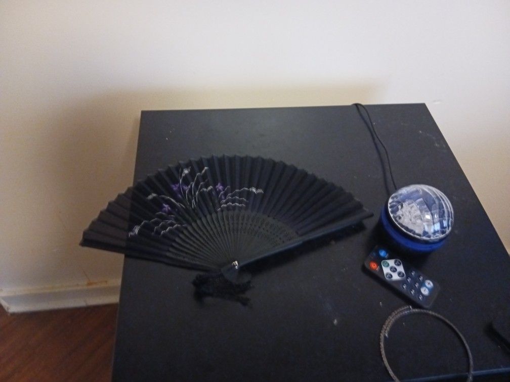 Japanese Fan