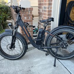 Rad Power Bikes RadRover 5