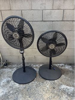 Lasko Fans