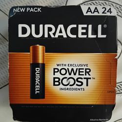 Duracell AA 24 Pack Batteries 