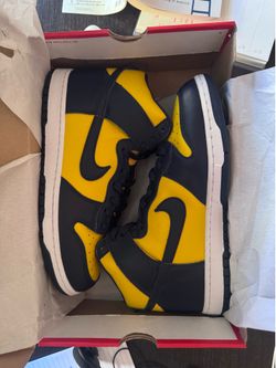Michigan Dunks Hi top 2020 sz 11.5