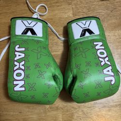 Jaxon Boxing Gloves 