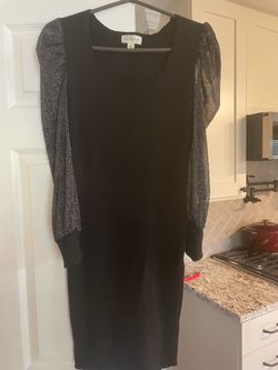 Emma & Posh Black Knit Dress with Metallic Sleeves