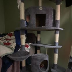 Tall Cat Tower