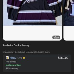 Anaheim Ducks 