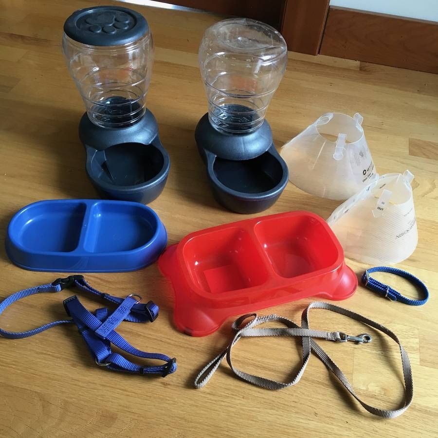 Lot of 9 Small Dog or Medium Cat Food Dishes, Collars, Leash