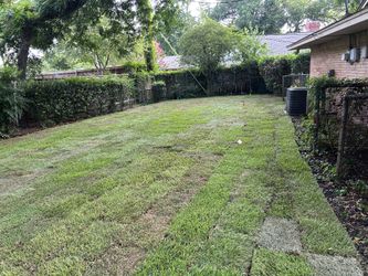 Irrigation & Sod Installation 