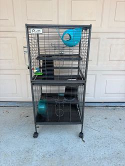 Polar aurora steel deluxe