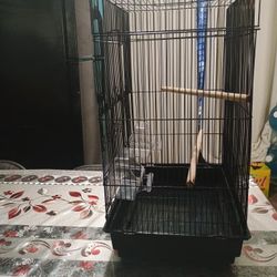  Bird Cage