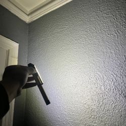 Flash Light 