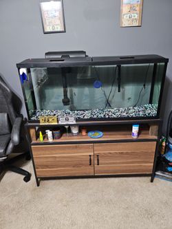 Fish aquarium