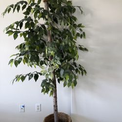 Artificial Plant / Planta Artificial 