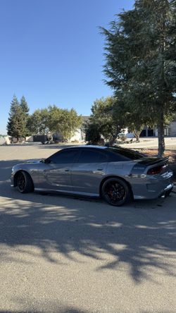 Vinyl Wraps