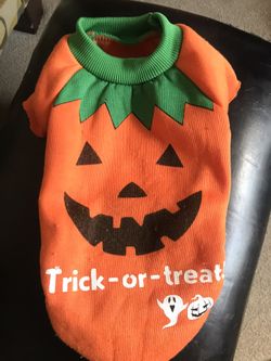 Pumpkin dog outfit
