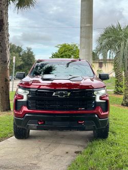 CHEVY SILVERADO 1500 CREW CAB - 2024