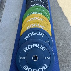 Rogue echo color hotsell