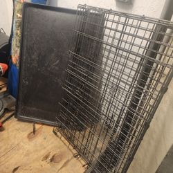 Jaula D Perro 