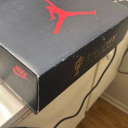 Olympic Jordan 7
