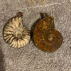 Silver Pendant Fósil 